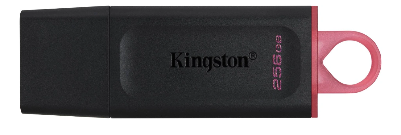 kingston 256